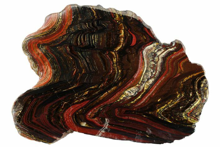 Polished Tiger Iron Stromatolite Slab - Billion Years #178755